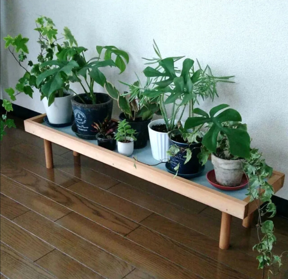 ボタニカルシェルフNo.3 植物棚 アイアンシェルフ 家具 棚 観葉植物 転落防止 がたつき