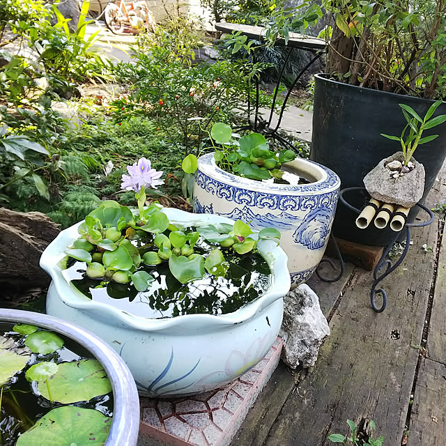 昭和レトロ火鉢，睡蓮鉢