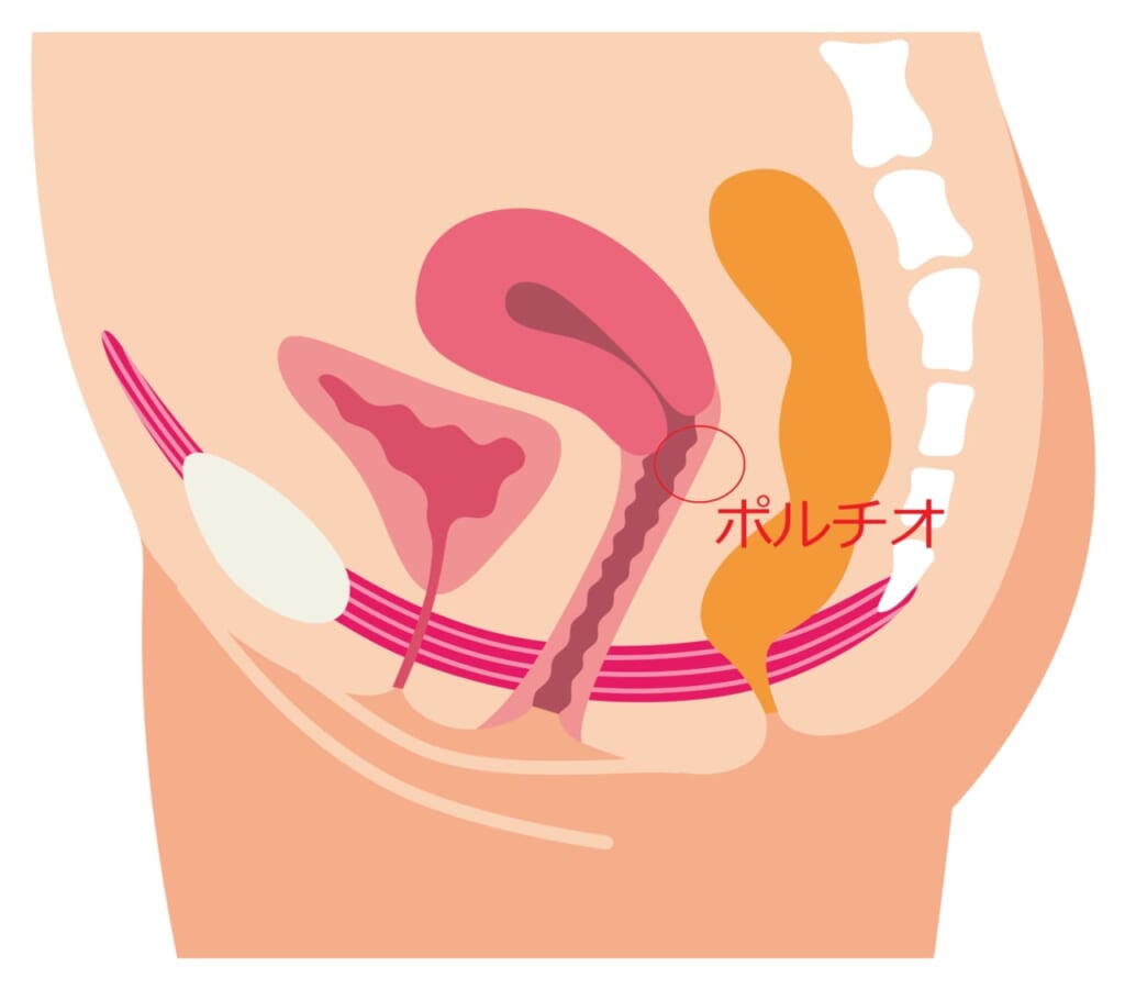 中イキ・奥イキの科学：女性を中イキさせるためのテクニック – メンズ形成外科 | 青山セレス&船橋中央クリニック