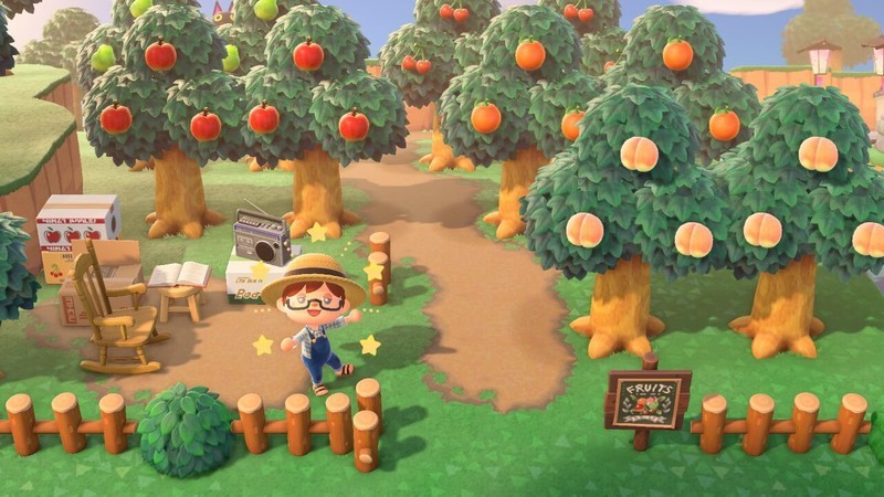 あつ森 果樹園のレイアウトまとめ！おしゃれな人気デザイン30選