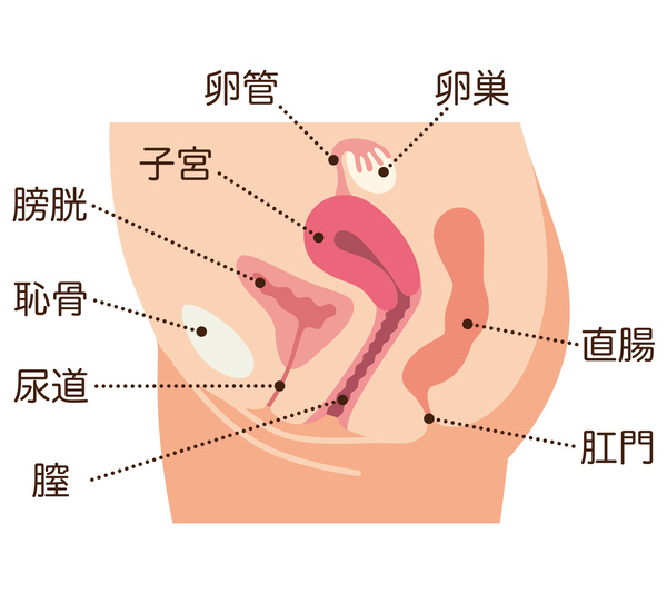 堺市中百舌鳥 | ゆとり鍼灸治療院