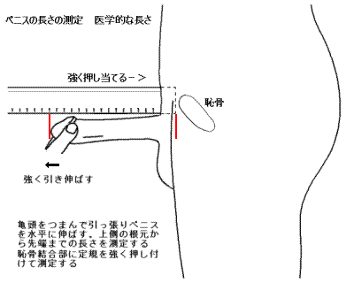 イエス・キリスト on X: 