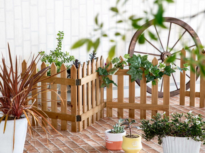 つるバラの広がるエントランス 花後の手入れ フェンスの剪定作業