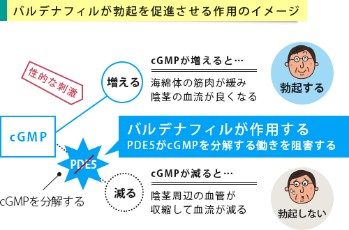 寝起き彼への朝フェラのやり方！嬉しい理由 - 夜の保健室