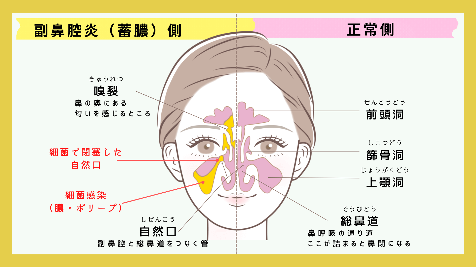 ペットマット プレイマット PUレザー