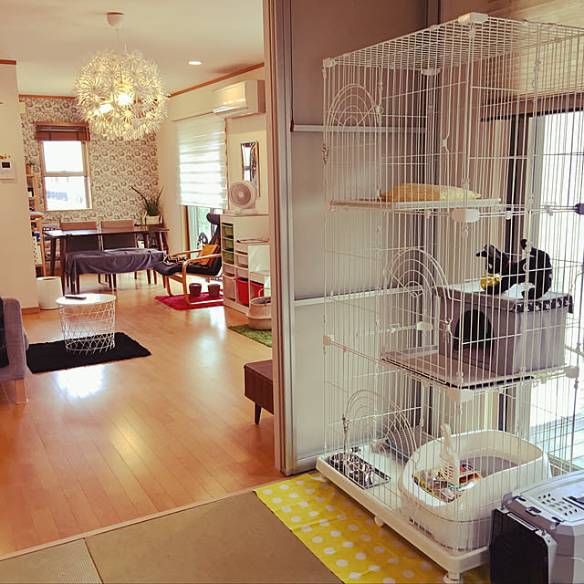 10 11まで～先着500円OFFクーポン！！ 猫ケージ キャットケージ 3段 超軽量 DIYトレー付き トレーなし 多頭飼い 脱走防止 留守番レイアウト自由 猫ゲージ キャットゲージ 梯子付き ドア付き 拡張可能 DIY式 組立式 幅75cm 高さ106 118cm 猫ケージ 猫ゲージ