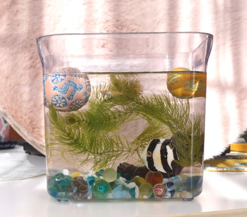 水槽レイアウト底上げのコツ～100均でも売っている材料でソイルをかさ増し～アクアぷらす