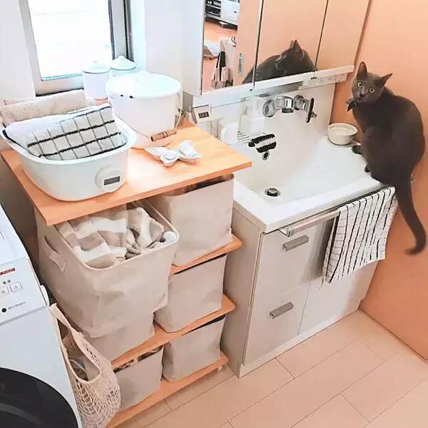 玄関風除室を設置したいリフォーム事例Nissho