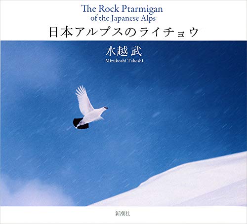 神の鳥“ニホンライチョウ”を絶滅から救え！｜SUNTORY（サントリー）