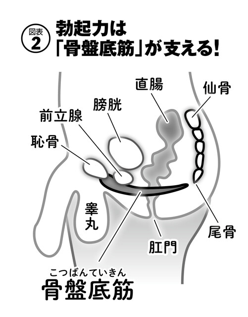 ノンフィクション】アナルが童貞捨てた時膣内射精障害とかいう知的でも身体(どちらかといえば身体)でもない部類の障害だったことが判明した話 -  YouTube