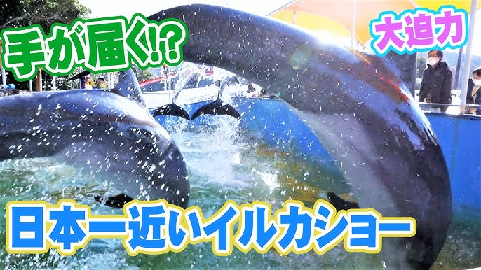 三重県四日市市 ベアトリス 090-4445-1474 ｜ニューハーフ・女装・男の娘の求人情報で充実の掲載件数のnewmo「ニューモ」