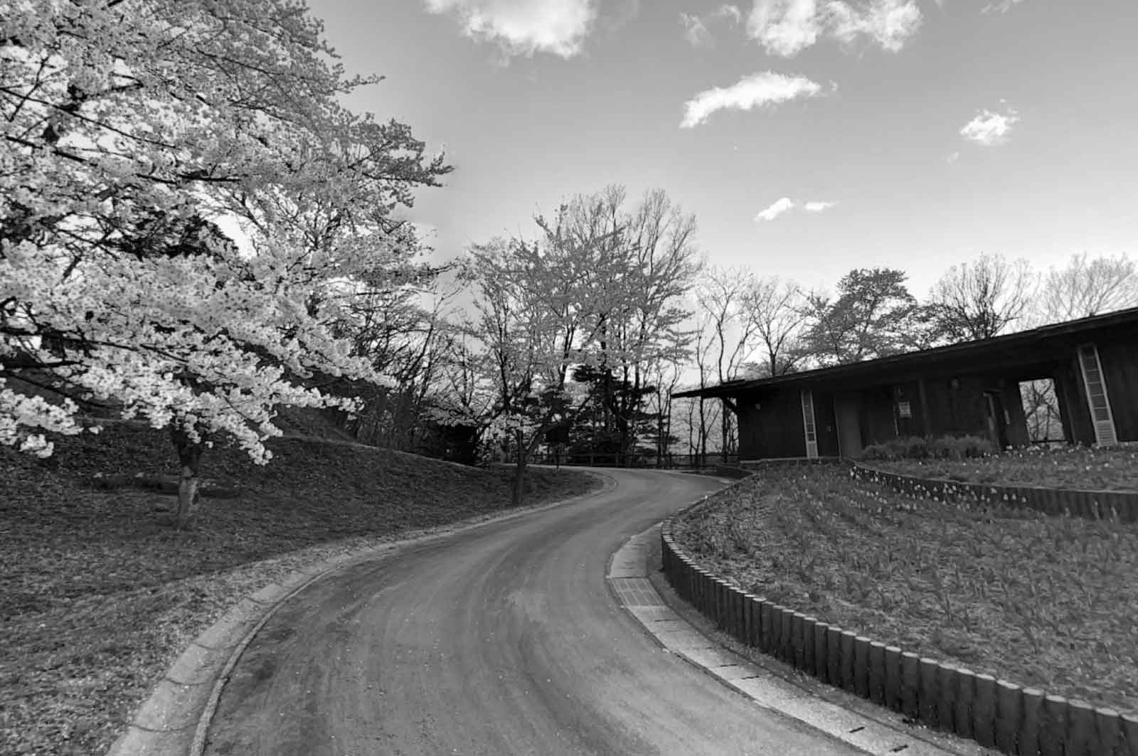 本日の銭湯】石川町『恵びす温泉』。ハッテン場 である事は気付いてたけど、サウナで露骨に誘い、ミスト個室でしっぽりされるとは。今夜は小熊ちゃん揃いだとは思ってたけれどね。連休だし。#photobybozzo