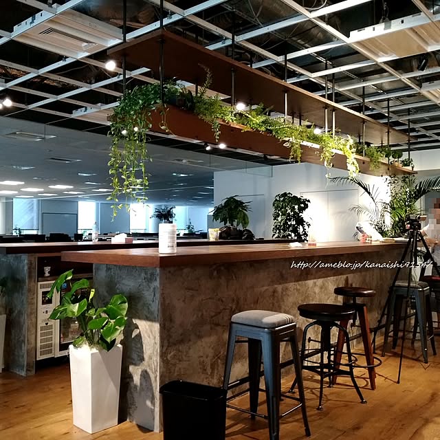 オフィスカフェのデザイン事例3選！利用方法・アイデアも紹介ワークデザインジャーナル