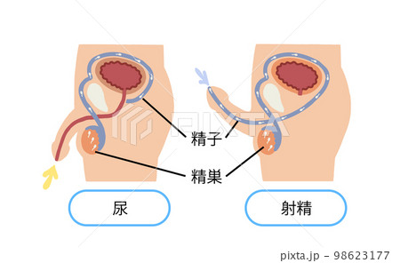 バイブでオナニー射精 - XNXX.COM