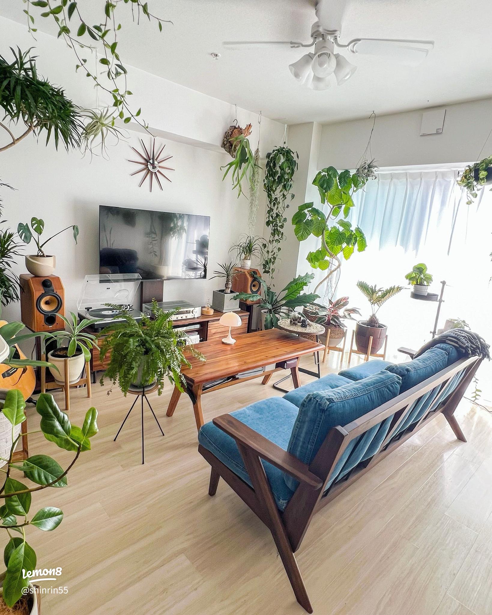 色々考えたのですが、LUFF超ジャングル化計画、クラウドファンディングに挑戦してみようと思います。 部屋の中がジャングルだったら面白いし、来てくれた人が楽しんでくれればそれが一番嬉しい 売れないと悲しい 。ジャングル化したところで好転するかはわからないし