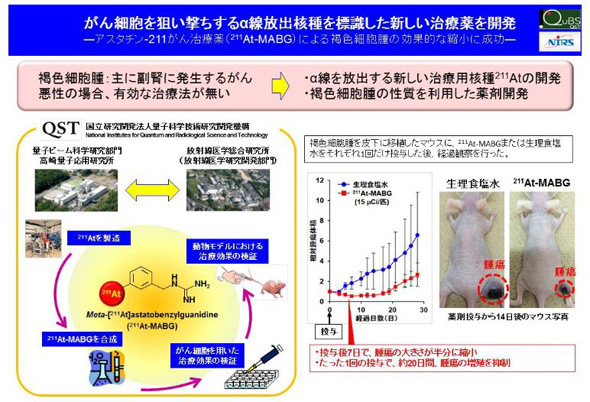 日本一”のピン芸人 まさかの月収にスタジオ騒然 東野幸治も「マジか…」凍り付く現状― スポニチ