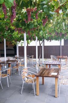 ワイン概論Ⅰ ブドウの栽培方法 ワインソムリエ・エキスパート試験対策しょうのブログ WINE sta.HIBINO ワインステーション ヒビノ