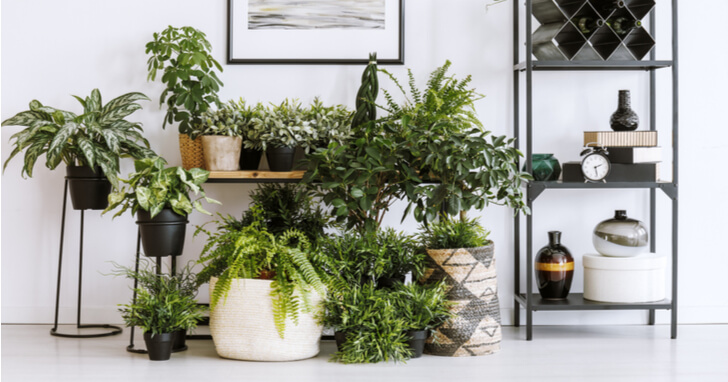 アイアンシェルフ アイアンラック ボタニカルシェルフ 植物棚 植木鉢 観葉植物 ラック エキスパンドメタル植物棚 フラワースタンドガレージラック 男前家具 アイアンシェルフ - YUTORIYA1825'S GALLERYminne 国内最大級のハンドメイド・手作り通販サイト