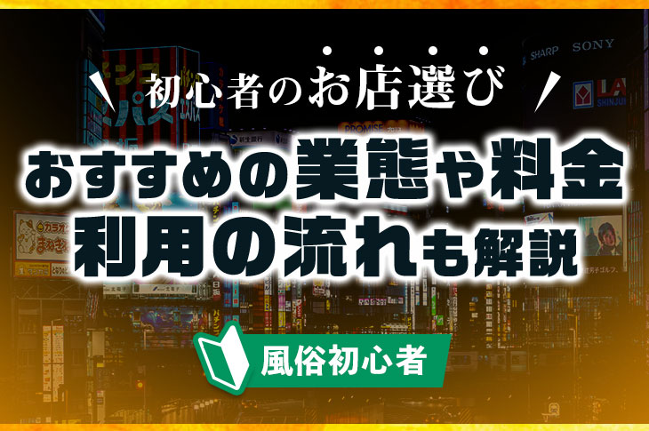 駿河屋 -【アダルト】<中古>生まれて初めての人妻風俗面接 2