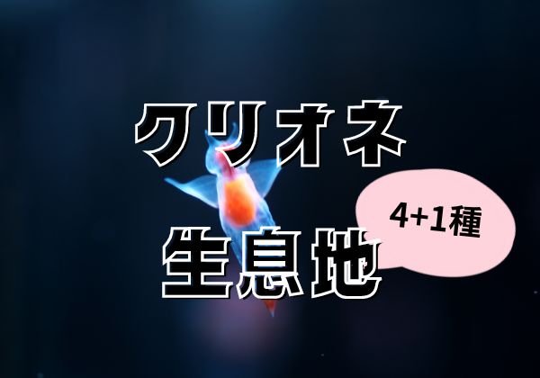 旭川周辺おすすめのドライブスポット11個紹介！運転も同乗者も喜ぶ情報満載 | ホテル良佳プラザ 遊湯ぴっぷ｜北海道旭川観光比布町人工温泉