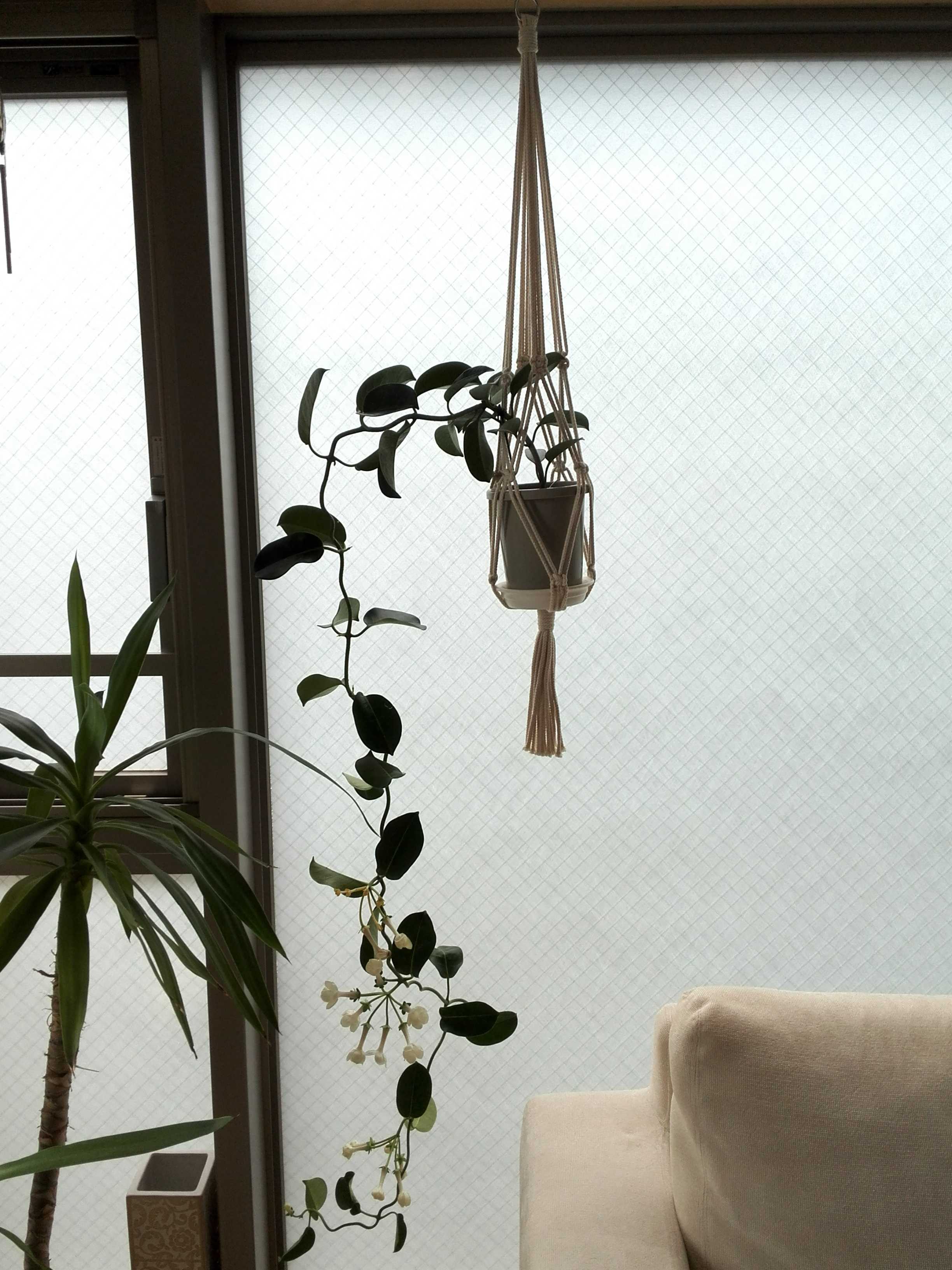 ジャスミン.H.I 203ダイワハウスの賃貸 賃貸住宅 D-ROOM