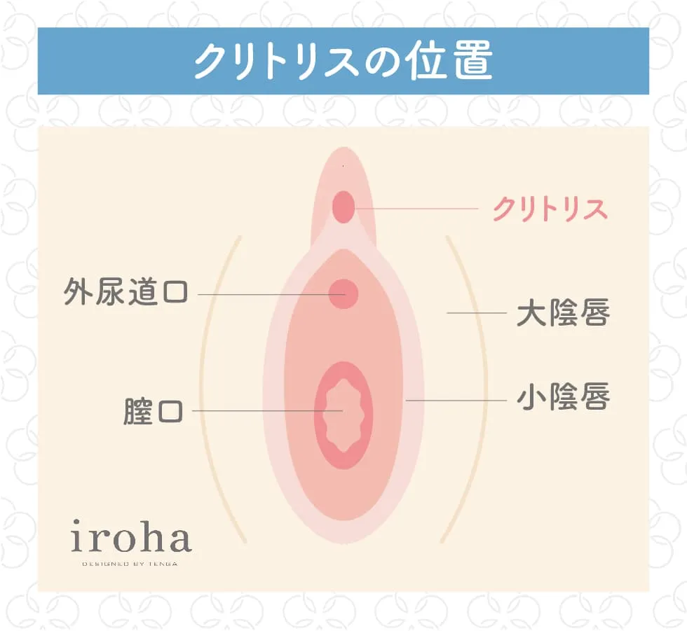 【医者が廃業する】「自慰行為を毎日やり続けると、体に起こる変化がヤバすぎた」を世界一わかりやすく要約してみた【本要約】