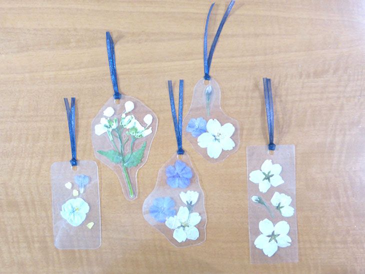 押し花 しおり作り方 ラミネートなしTikTok