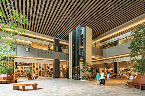 木毛セメント板