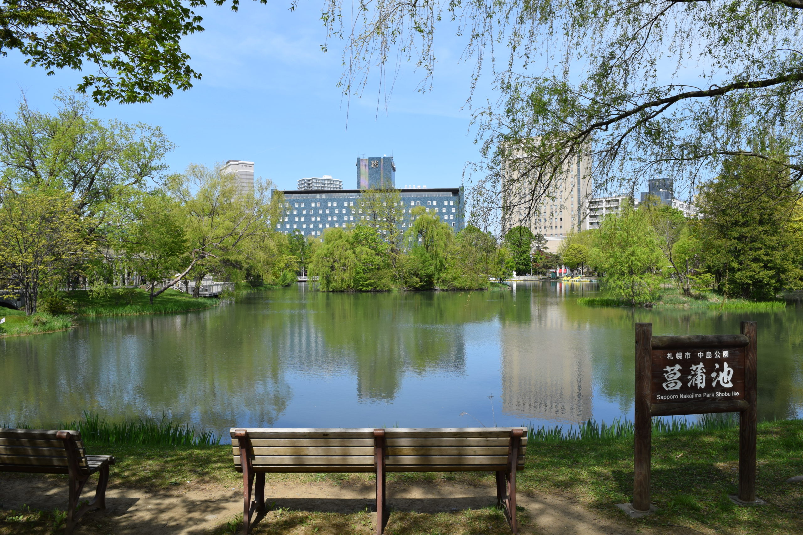 完全ガイド】札幌の中島公園の見どころや四季の楽しみ方を紹介 | Kitaiko