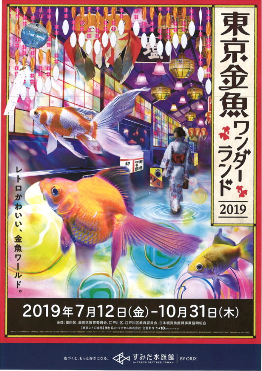 庭の池の金魚】今年生まれの金魚が大きくなってきました❣️ | 徳島県阿南市のエステサロン40代50代