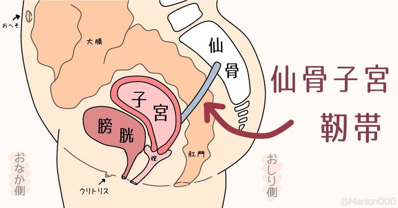 女性向け】中イキのコツや方法を300名以上開発したプロが解説｜裏垢男子で年収2000万