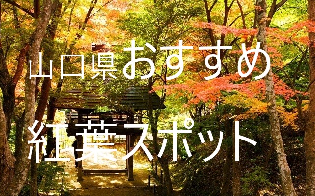 秋の京都・東山エリアでも混雑しないおすすめ穴場紅葉スポット６選 - MKメディア