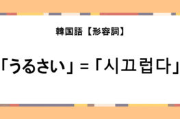 LUCENTE/8.14パクハくんと2回目のオンラインサイン会 | Stray Kids&WAKERそしてKポ大好きJyumiのブログ