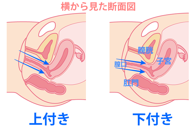 上付き・下付きマンコに最高のセックス体位【図解・動画】 | セクテクサイト