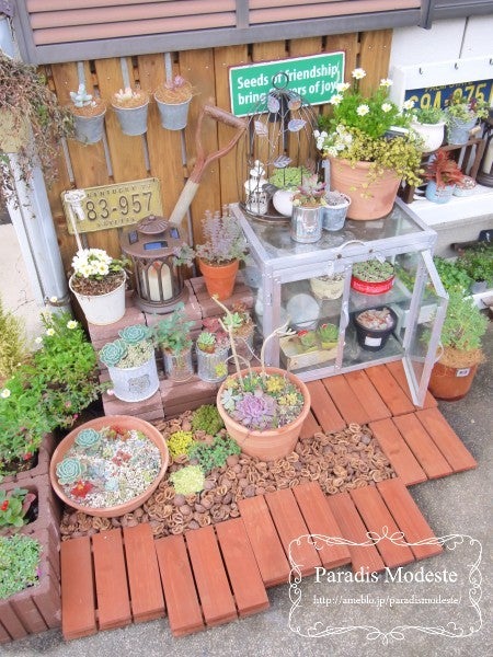 多肉植物のディスプレイDrawGarden – Draw:Garden代表 村本宏斗 のブログ