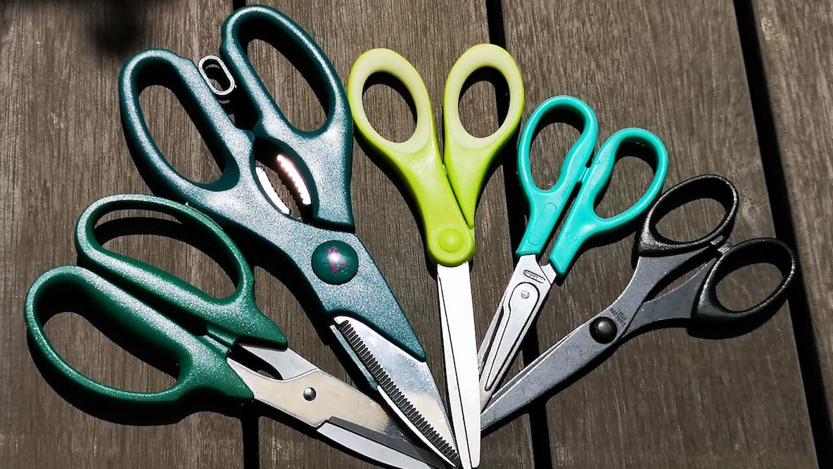 ものを減らしてきた整理収納アドバイザーが、ハサミだけはたくさん持っている！そのワケとは？ESSEonline エッセ オンライン