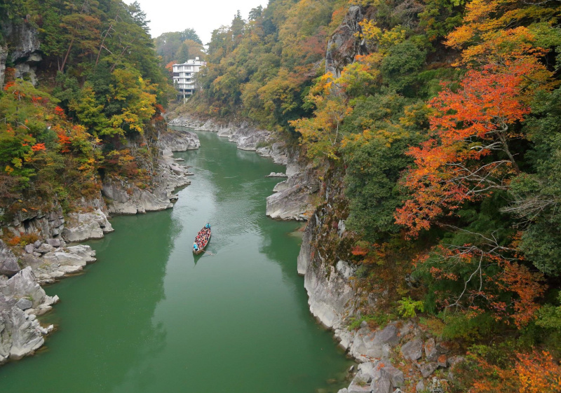 天竜川護岸に５年近く放置 船舶を代執行で撤去：中日新聞しずおかWeb