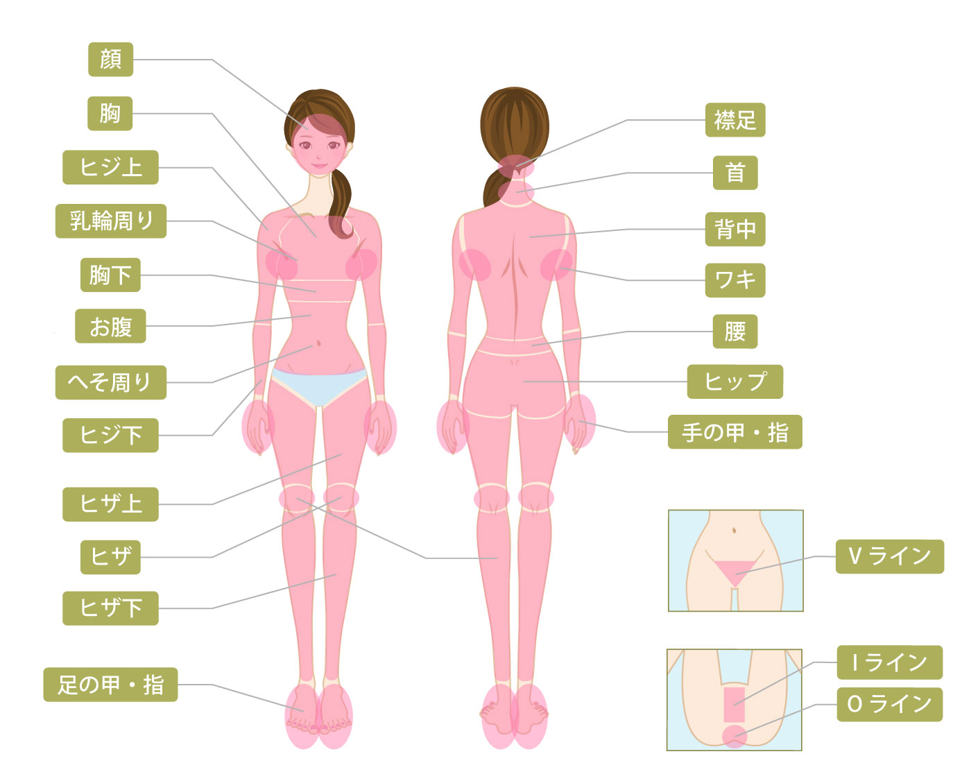 デリケート部分の脱毛/Vライン/VIO！名古屋港・高畑・笠寺・鳴海・大府・豊明・知多・半田で人気のエステ,脱毛,痩身サロン｜ホットペッパービューティー