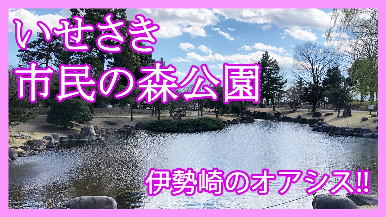 群馬県道315号大原境三ツ木線 - 群馬県道315号大原境三ツ木線の概要 -