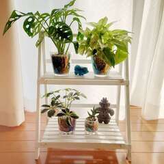 ダイソー330円＆550円商品＊おしゃれラックDIY : elie's house DIY100均リメイカーエリィの暮らし＆レシピブログ