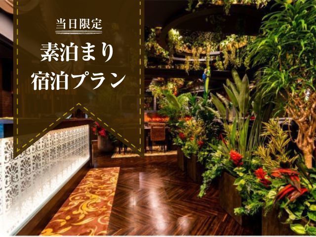 ホテルバリアンリゾートフォレスト池袋西口店の設備・サービス | 女子会・カップルズホテル利用もできる複合型進化系ホテルのバリアングループ