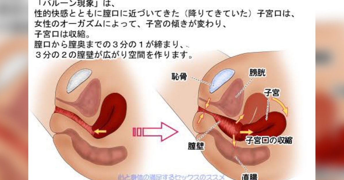 ポルチオ（子宮口）セックスは気持ちいい！ ペニスに膣の奥が吸い付く現象とは？ | オトナのハウコレ