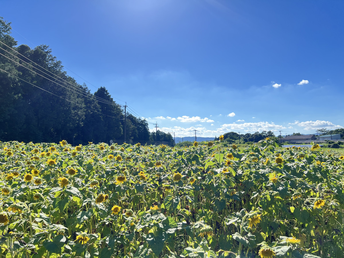 和歌山県岩出市のホテル一覧 - NAVITIME