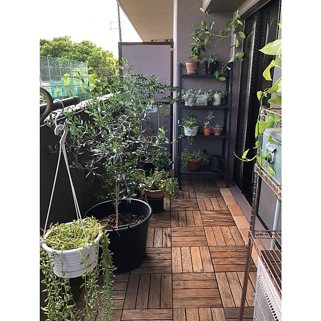 ベランダガーデン ハゴロモジャスミンのインテリア実例RoomClip ルームクリップ