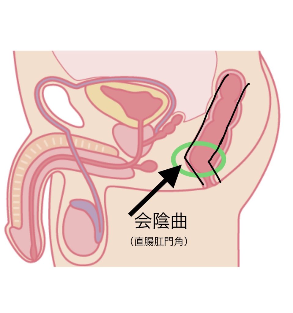 勃起の角度は何度が平均？低い原因や上向きにする方法を解説 |【公式】ユナイテッドクリニック