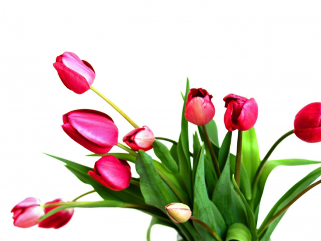 花束 花瓶 一輪挿し ドライフラワー 花アレンジ オブジェ 装飾 おしゃれ花瓶 インスタ映え卸売・ 問屋・仕入れの専門サイト NETSEA