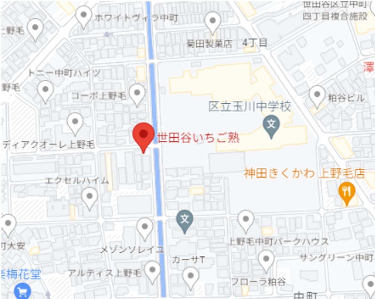 東京都「世田谷いちご熟」で家族といちご狩り - 快適！レンタカーお出かけライフ@板橋