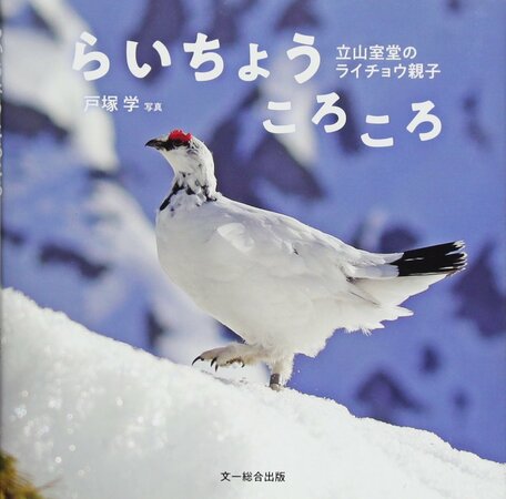 夏合宿「雷鳥を見たい！」後編 : KBWC