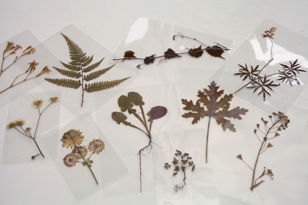 手作りのしおり30選！押し花の作品などRoomClip mag暮らしとインテリアのwebマガジン