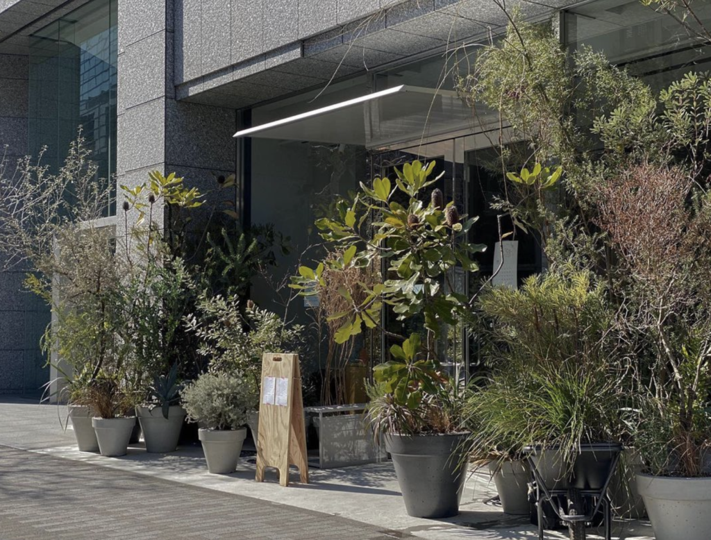 おしゃれな観葉植物が揃う。東京都内のグリーンショップ10選VACAY ヴァケイ